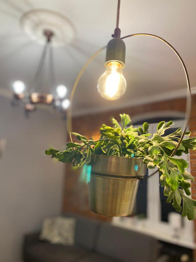 Apartament Odrzanka グリフィノ エクステリア 写真